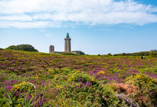Phare du Cap Fréhel